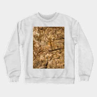 Ancient Timber Crewneck Sweatshirt